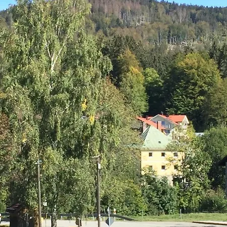 Alte Forsthaus Spiegelhütte Apartamento *