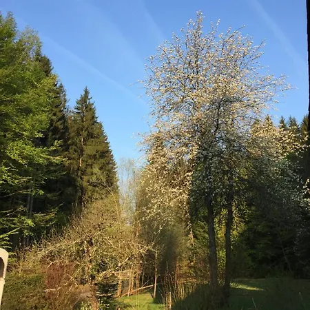 Alte Forsthaus Spiegelhütte *