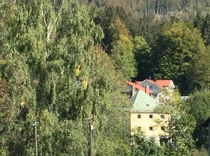 Alte Forsthaus Spiegelhütte Apartment *