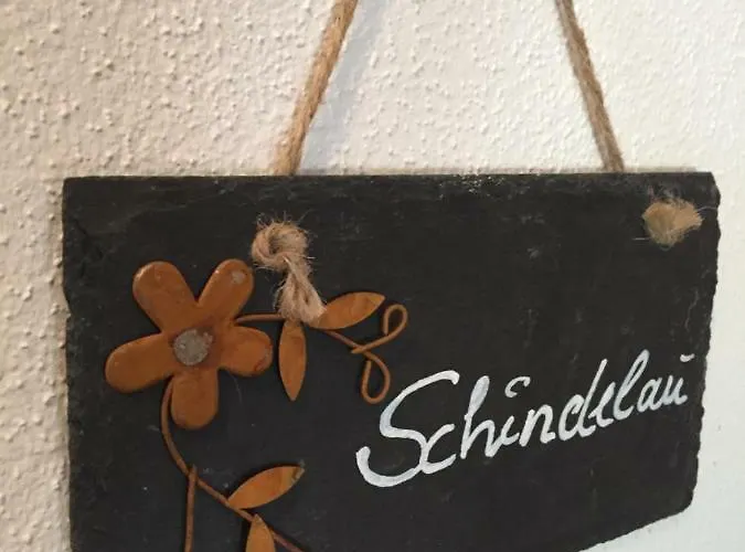 Alte Forsthaus Spiegelhütte Apartment