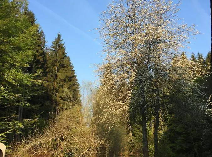 Alte Forsthaus Spiegelhütte *